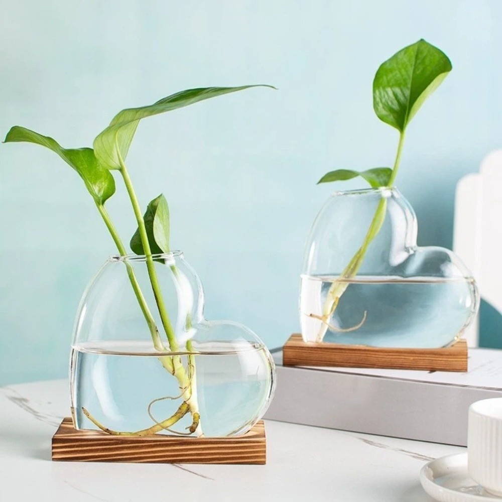 Transparent Hydroponic Glass V - Propagation Station Vase review and price